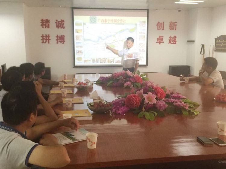 石埠镇领导莅临泰宁集团公司进行项目考察指导