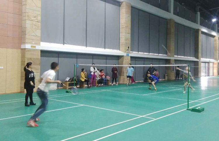 广西泰宁集团在李宁体育园组织气排球和羽毛球活动敏捷的动作，充分展现了员工们的良好身体素质