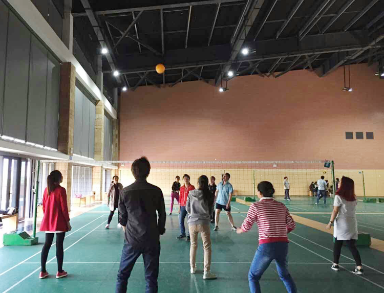 广西泰宁集团在李宁体育园组织气排球和羽毛球活动场上，只有球才是焦点；场外，听到的是欢呼声