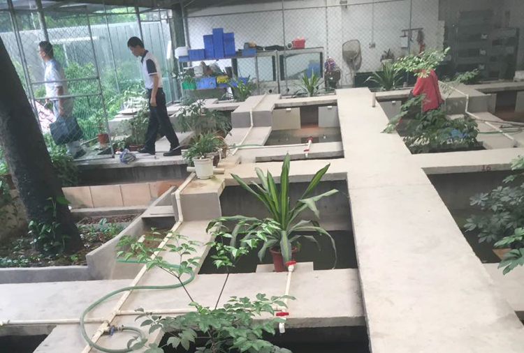 开心龟园养殖基地