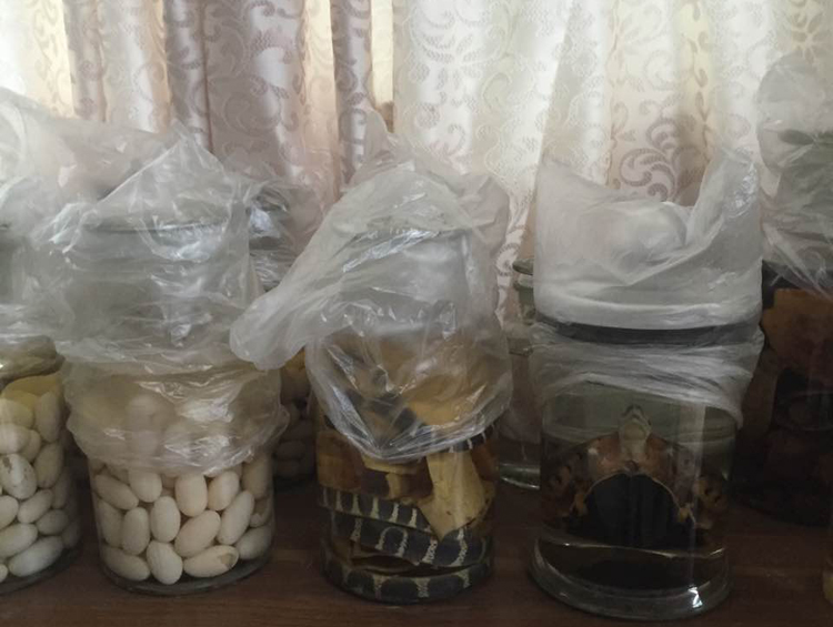 开心龟园养殖基地产品