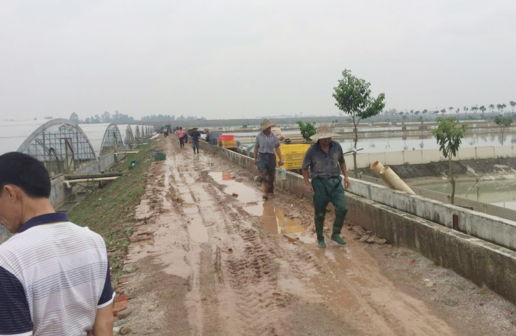 广东绿卡实业有限公司养殖基地