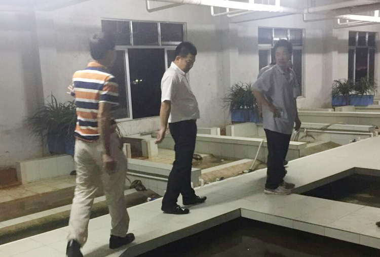在阳春市龟鳖协会会长黎兴福陪同下连夜考察阳春福记养殖场
