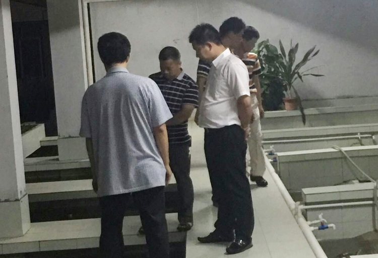 双方交流养殖技术