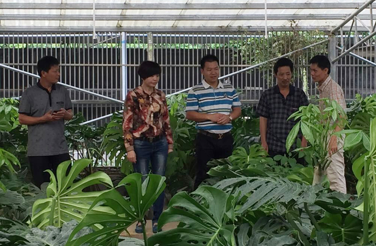 广西泰宁集团董事长符安卫与阳春市龟鳖协会副会长杨洁兰在交流