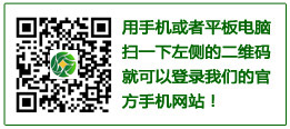 手机访问泰宁集团官网