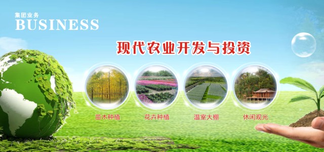test5
