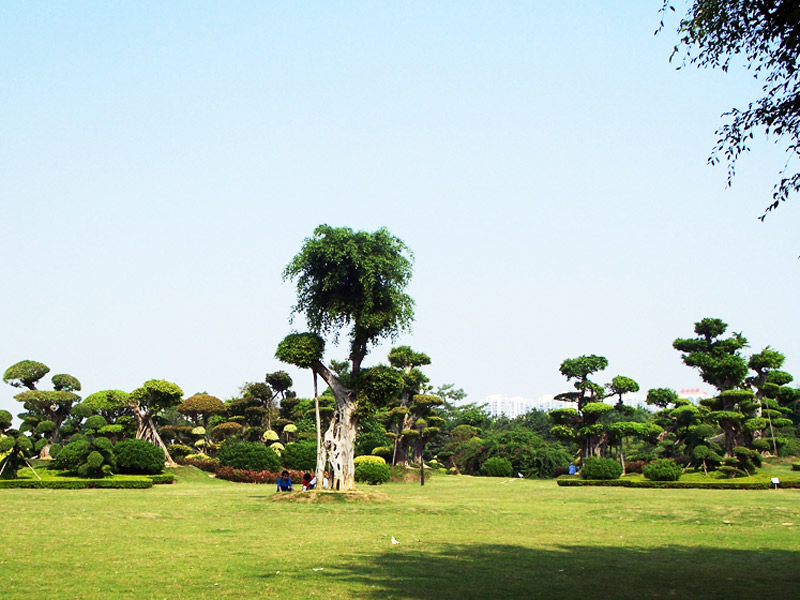 Greening project of South Lake Park in Nanning