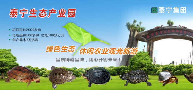 test2