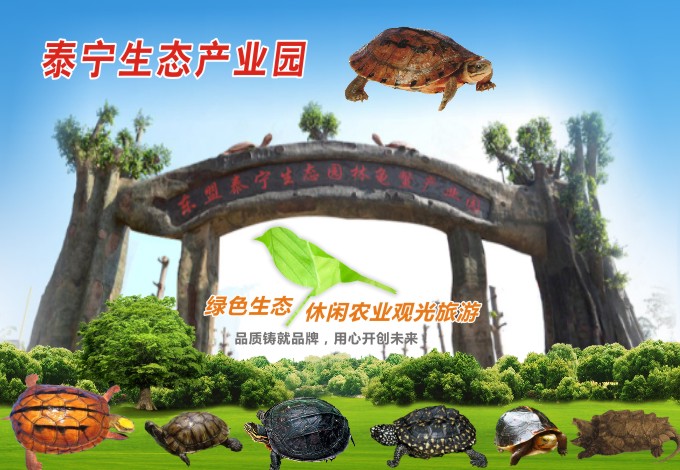 东盟泰宁集团龟鳖产业园